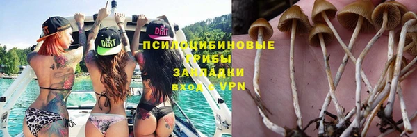кокс Абаза
