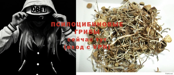 амф Абдулино