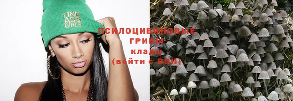 кокс Абаза